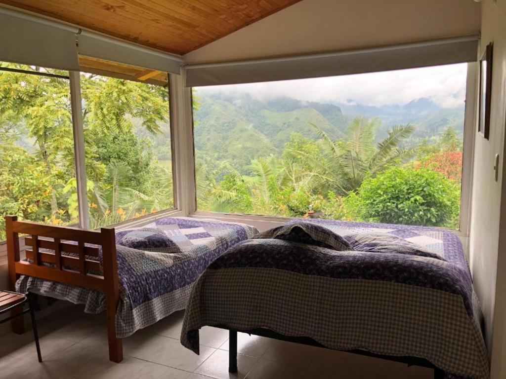 Salento Finca Hotel Mundo Nuevo Dış mekan fotoğraf