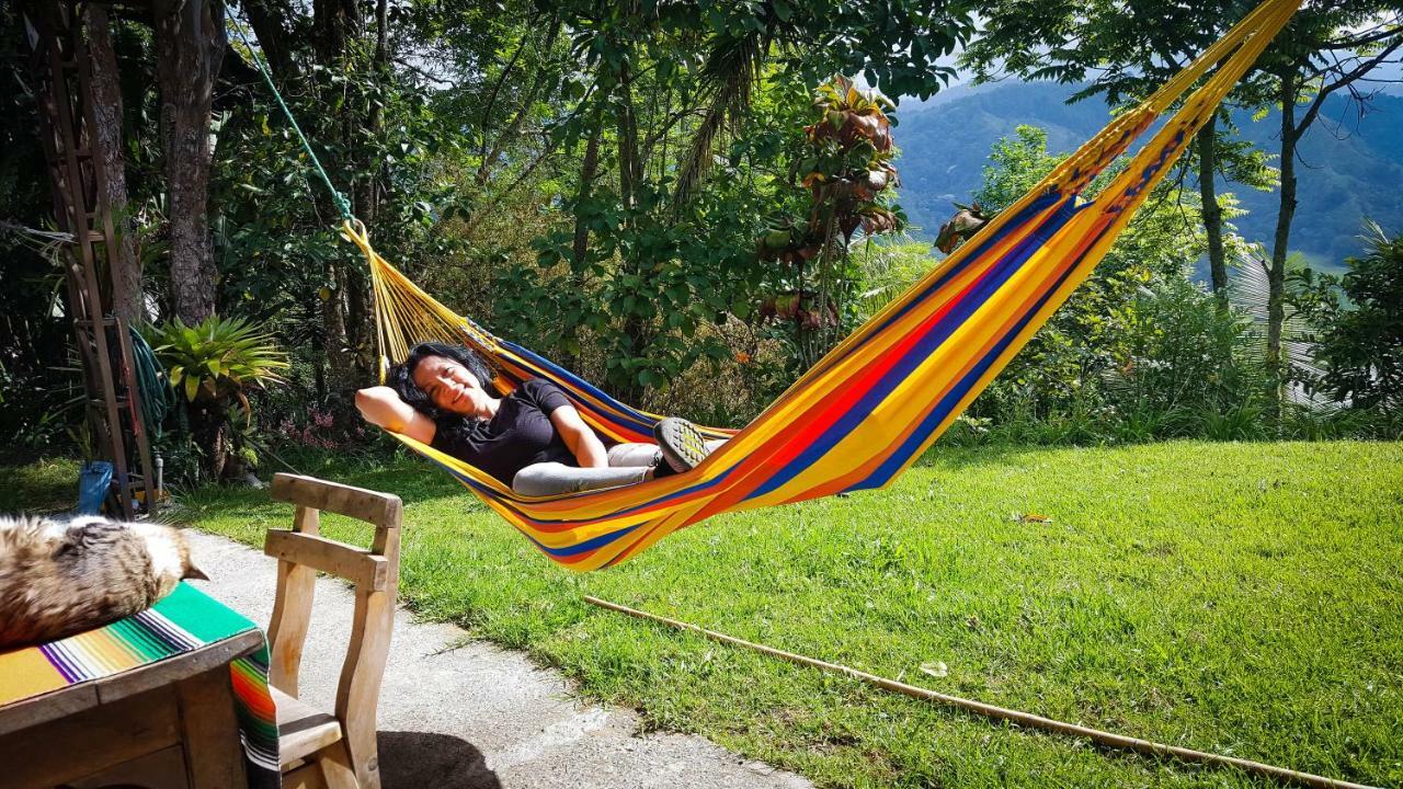 Salento Finca Hotel Mundo Nuevo Dış mekan fotoğraf