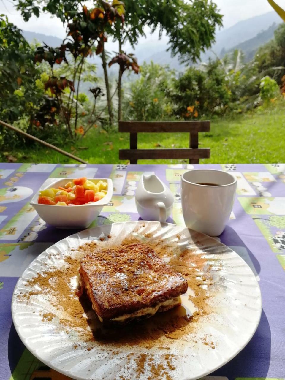 Salento Finca Hotel Mundo Nuevo Dış mekan fotoğraf